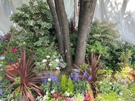 thumbnail_IMG_0990 (2)