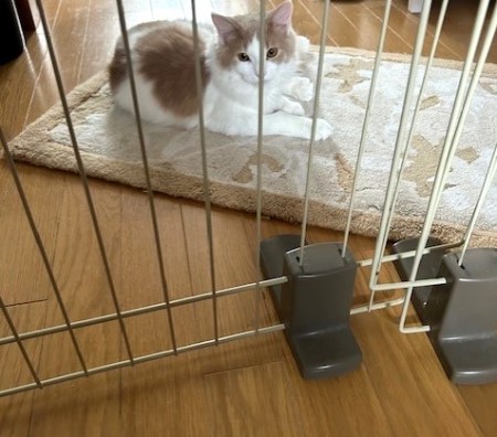 thumbnail_IMG_7910 (1)