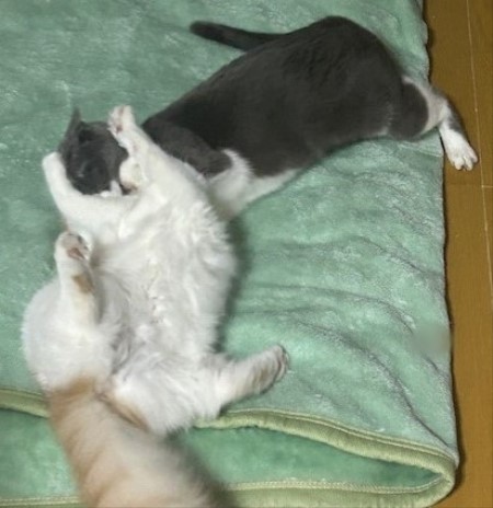 thumbnail_IMG_3137 (1)