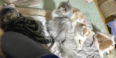 f21acd01-5106-4bcb-8d9d-e25410a09b31 (1)