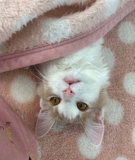 thumbnail_IMG_4887 (1)