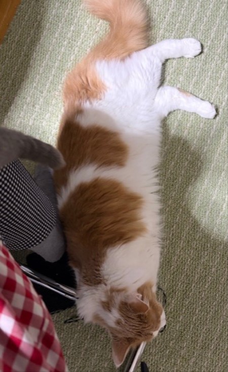 ee804791-8d9a-4dbb-b7f3-96b3120dc504