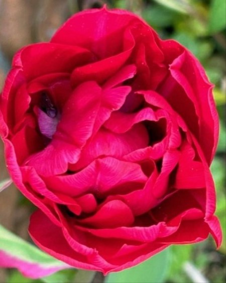 thumbnail_IMG_9929 (1)