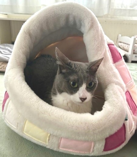 thumbnail_IMG_4754 (2)