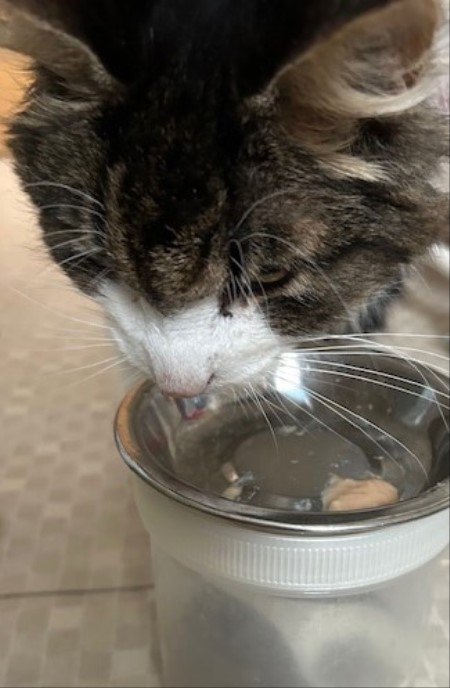 thumbnail_IMG_5103 (1)