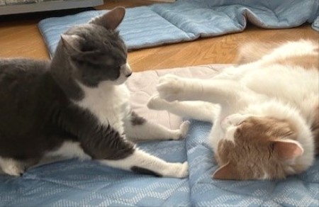 thumbnail_IMG_4243 (2)