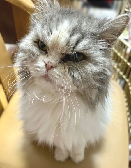 ca7a2c69-193c-4c2f-82d9-fbfeb69e106e