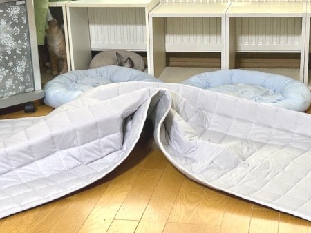 thumbnail_IMG_0075 (1)