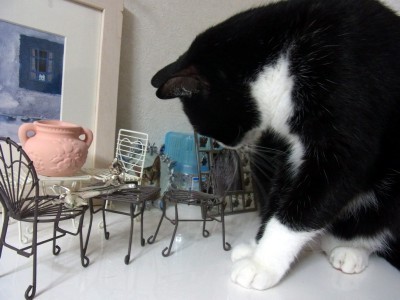 「猫だらけ」