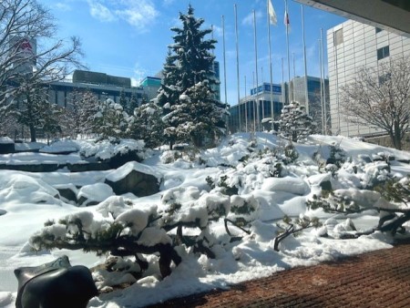 thumbnail_IMG_3630 (2)_1