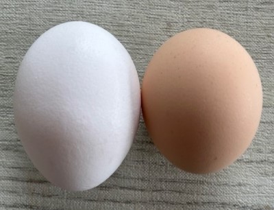 thumbnail_IMG_7832 (1)