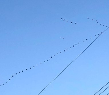 IMG_1794