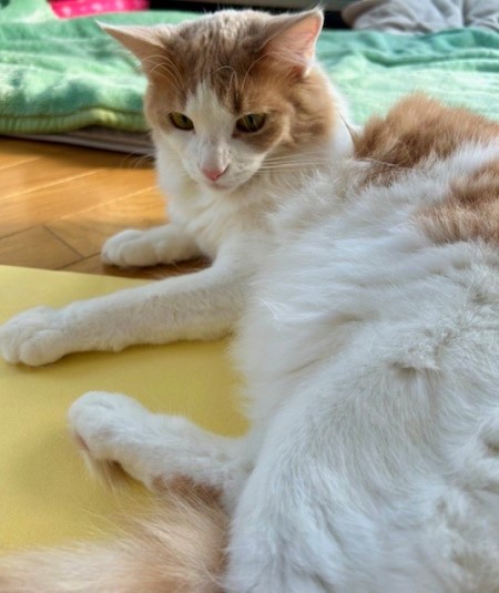 thumbnail_IMG_0401 (2)