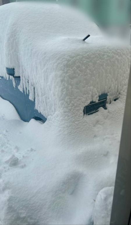 1808bf6f-4d36-4f81-95ed-f5b447d2f2ca