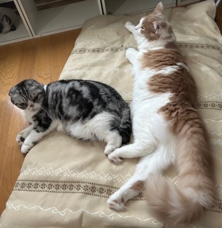 thumbnail_IMG_2214 (2)