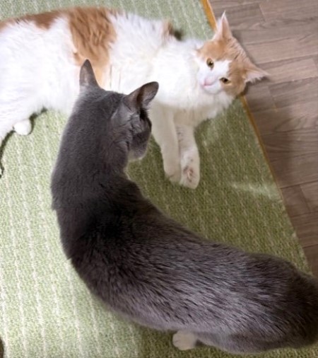 0b62030f-7c1b-40d8-be4d-396dac1014f0