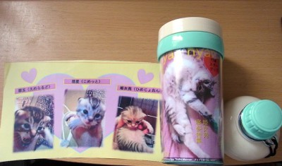 「猫だらけ」