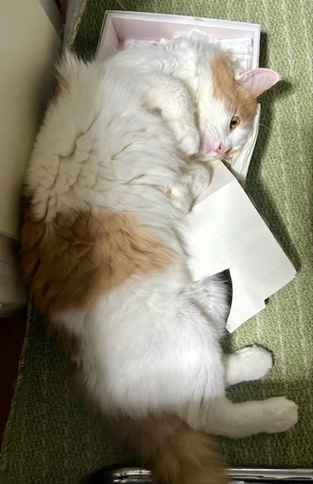 thumbnail_IMG_6201 (1)