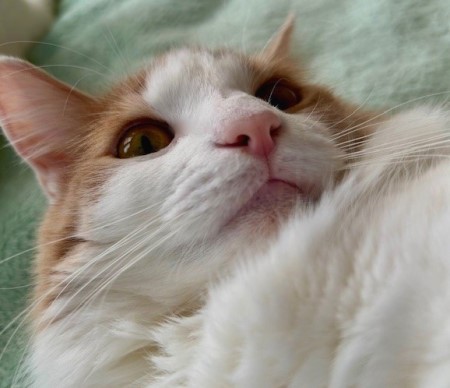 thumbnail_IMG_0614 (2)