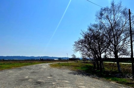 thumbnail_IMG_5373 (2)_1