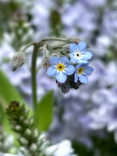 thumbnail_IMG_1193 (1)