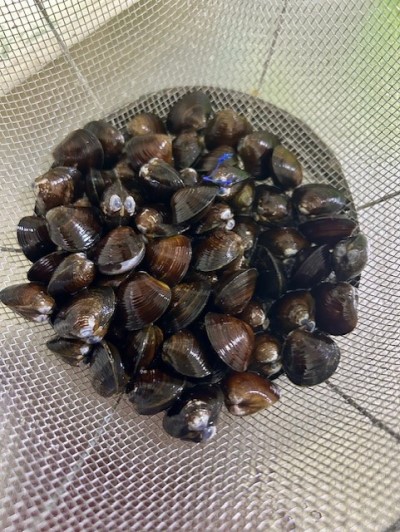 thumbnail_IMG_3041 (2)