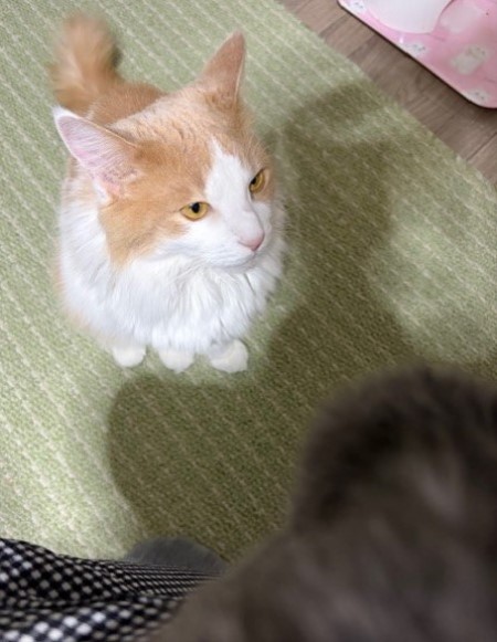 93385f44-5447-47e5-aabe-8c6d0e8c40de