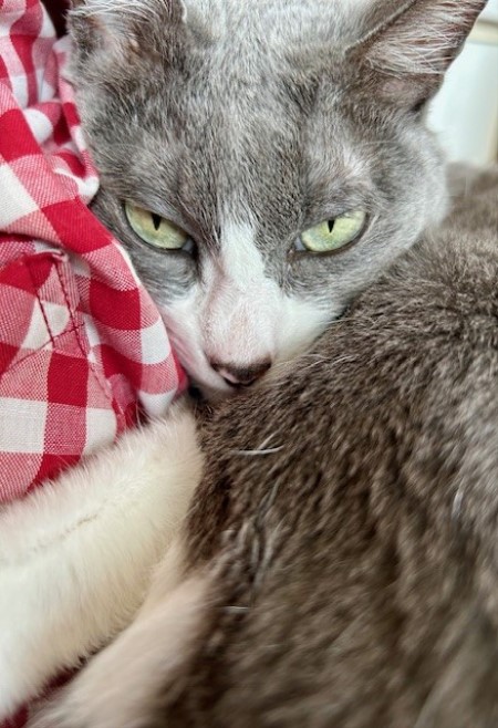 thumbnail_IMG_8471 (1)