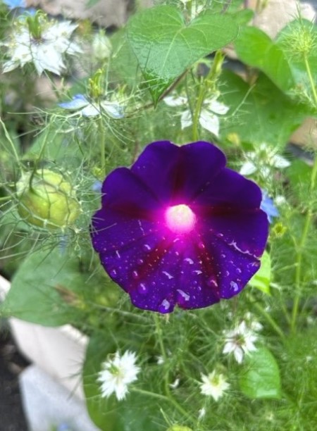 thumbnail_IMG_5559