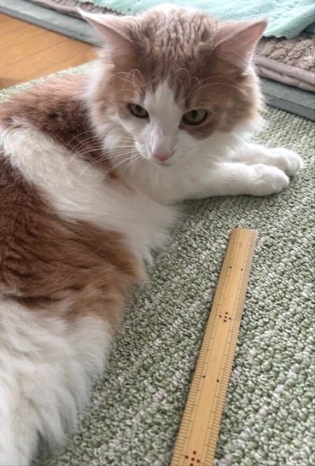 thumbnail_IMG_5574 (1)