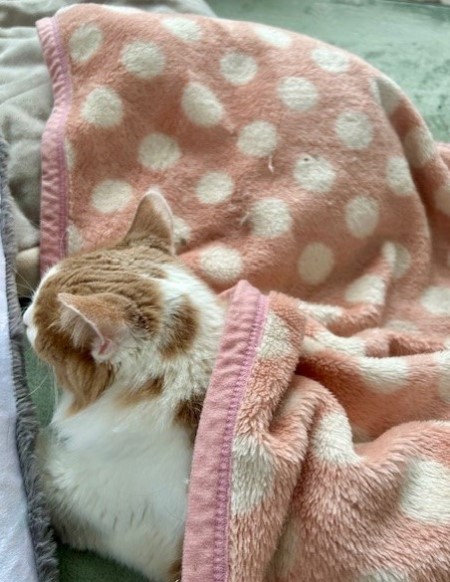 7121353f-d226-4f5d-b4e9-bf4ea7702d02