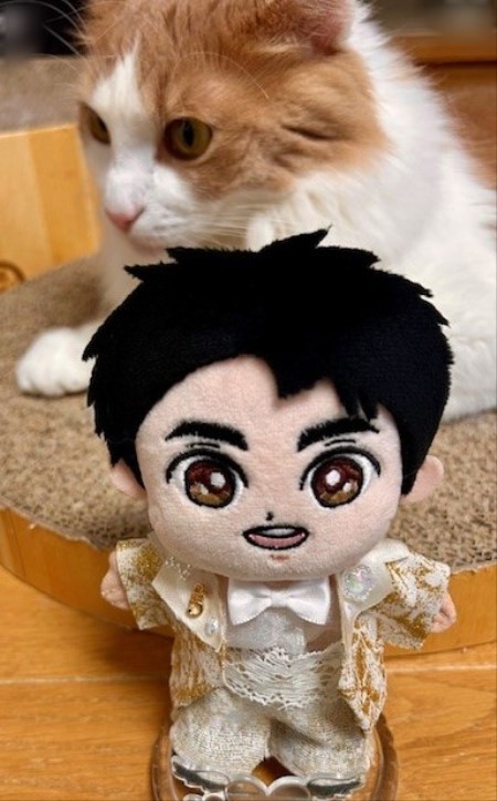 莉琉3298様　こひろみくん　ぬい服　スパンコールコーデ こひろみくん（郷ひろみさんのぬいぐるみ）の服作り⑩ : 猫だらけ