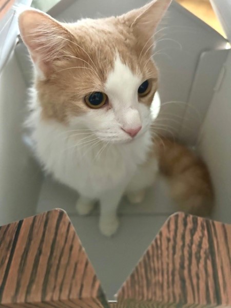 thumbnail_IMG_8367 (1)