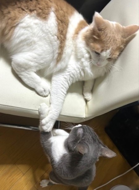 thumbnail_IMG_3761 (1)