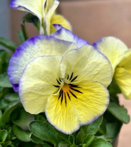 thumbnail_IMG_4623 (1)