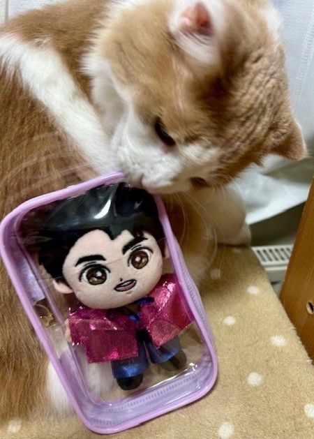 thumbnail_IMG_3876 (1)