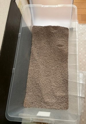 格安大型猫トイレを設置してみたら 猫だらけ Powered By ライブドアブログ