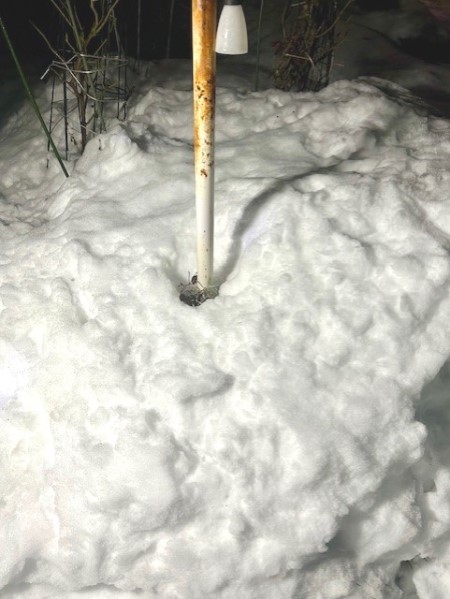 be008940-7d7a-4e49-8644-17a08a31bc21