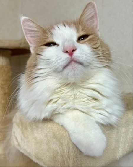 1814573a-86bf-4e7a-bd1b-8b6ffe4a7829