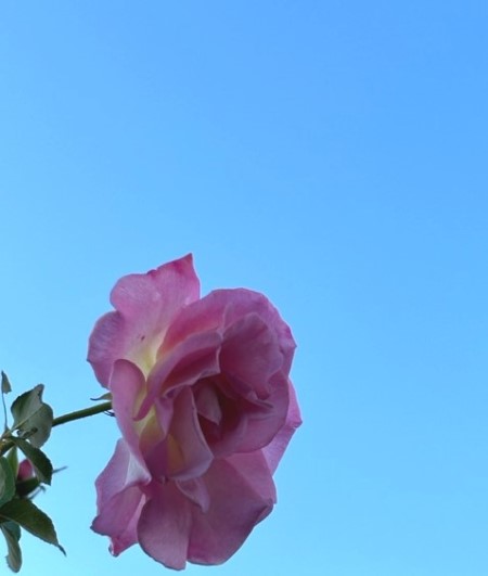 thumbnail_IMG_9385
