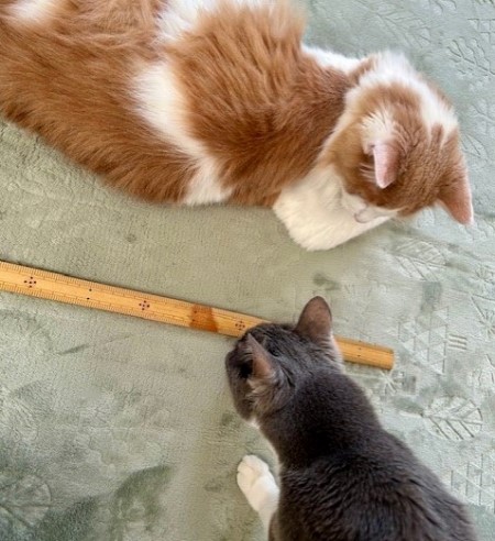 thumbnail_IMG_5204 (2)