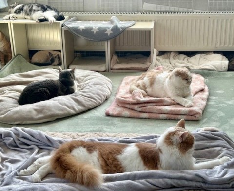 86f6c3c7-3a3e-48c3-9acb-529cf883d612