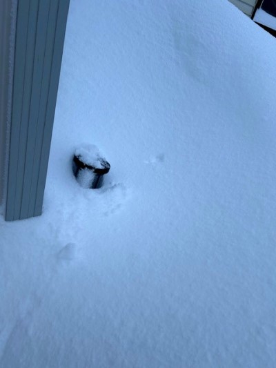 thumbnail_IMG_3752 (1)