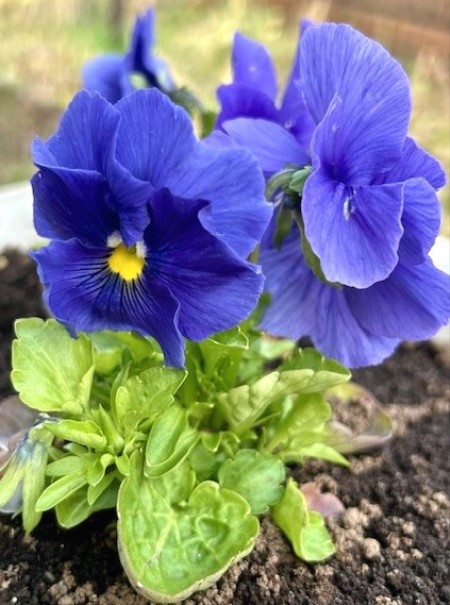 thumbnail_IMG_5011 (2)