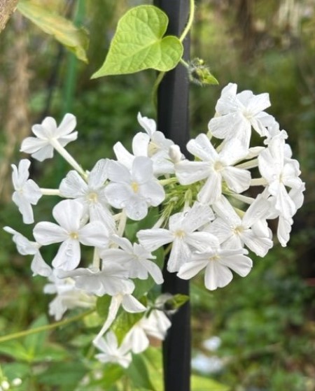 thumbnail_IMG_9477