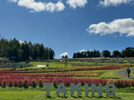 thumbnail_IMG_7884 (1)