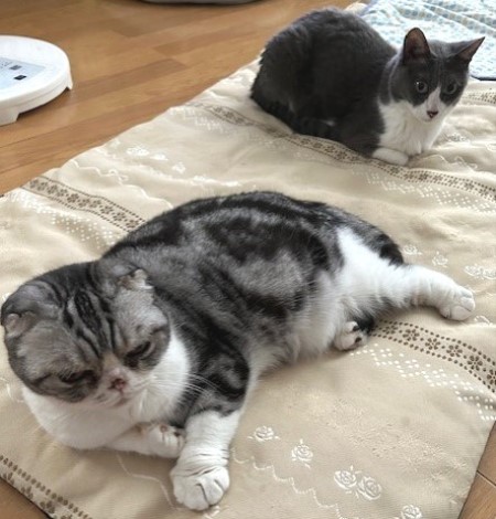 thumbnail_IMG_3527 (1)