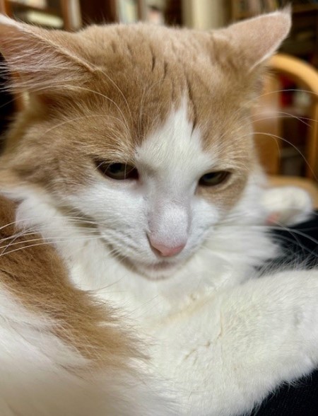 thumbnail_IMG_7071 (2)