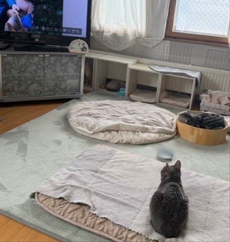 1cf3b2f1-d36f-496b-8d31-9aebbb2556c6