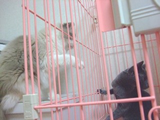 2007_10040014